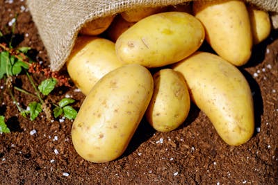 Batatas
